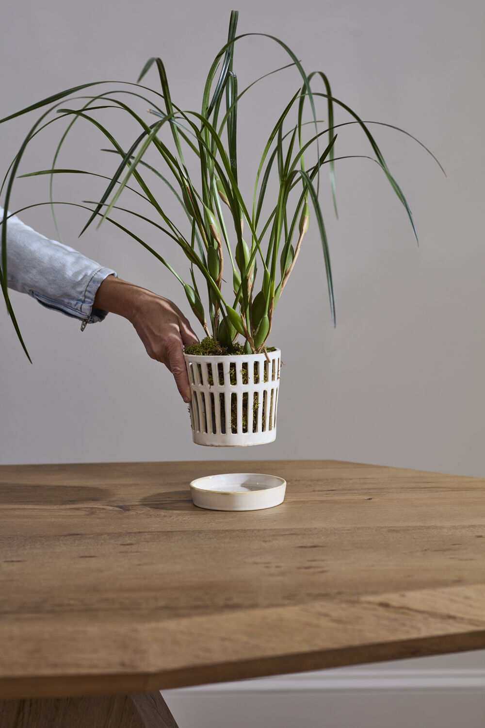 Airy Orchid Pot with Saucer