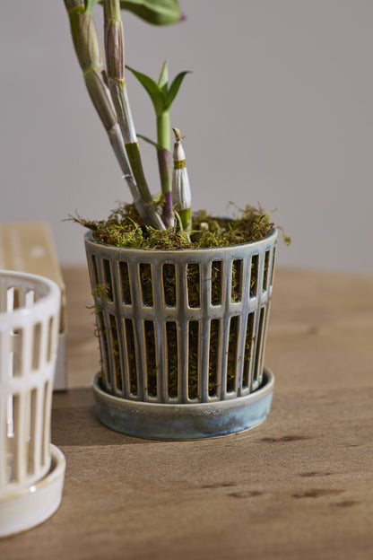 Airy Orchid Pot with Saucer