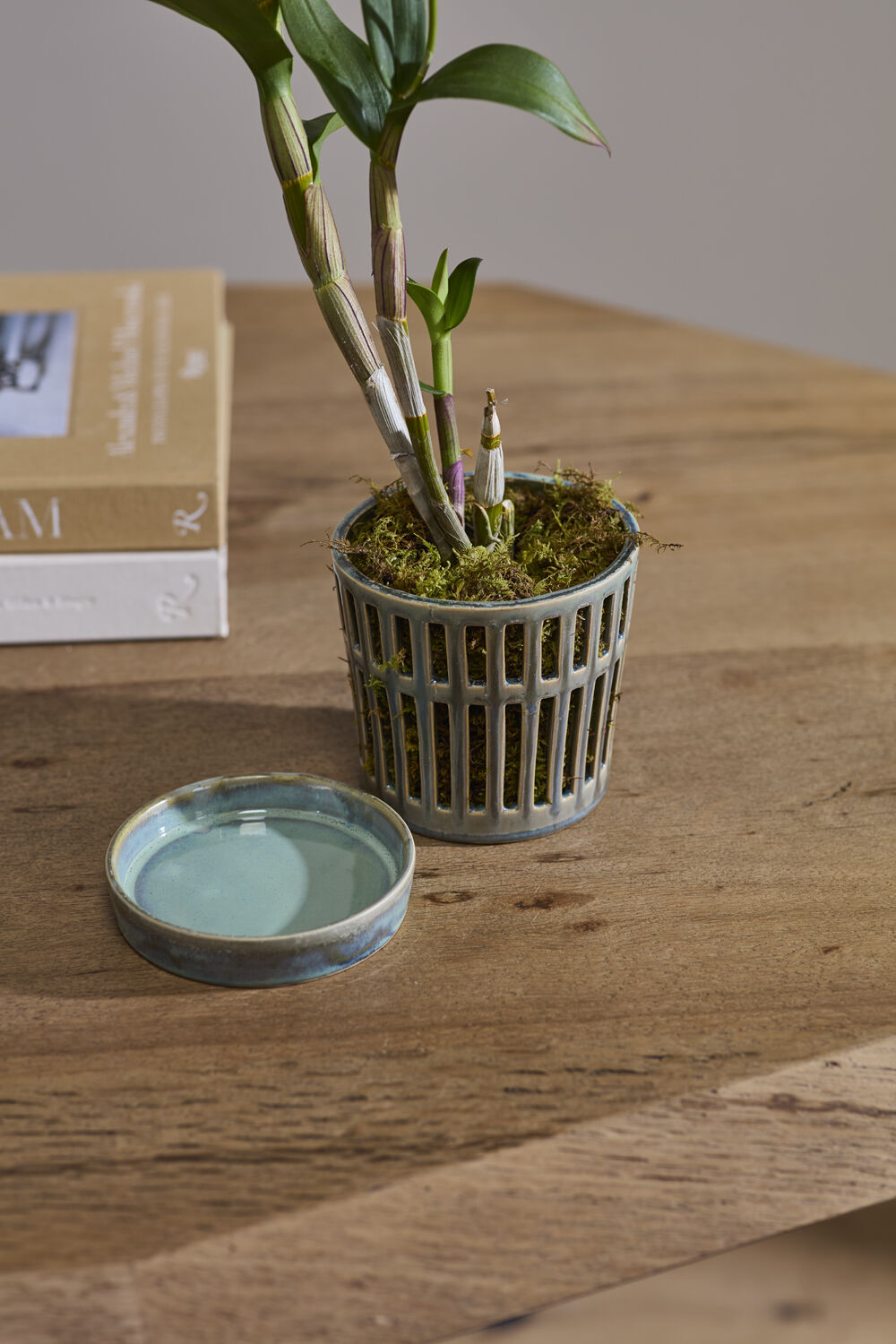 Airy Orchid Pot with Saucer
