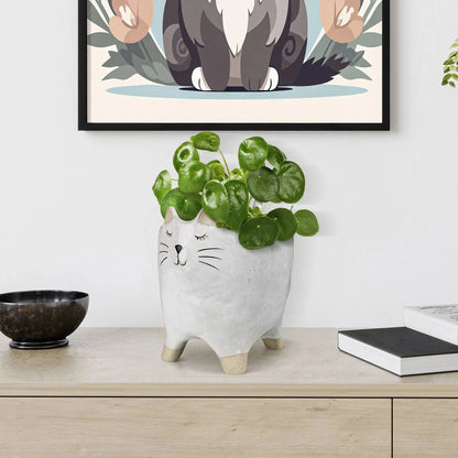 Cat Cachepot, Ceramic