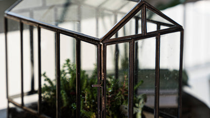 Greenhouse Glass and Metal Terrarium Bronze 10 x 7 x 10