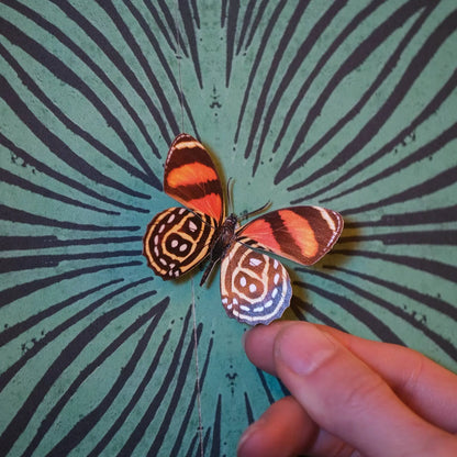'Flower Child' Psychedelic Butterfly 3 piece Set