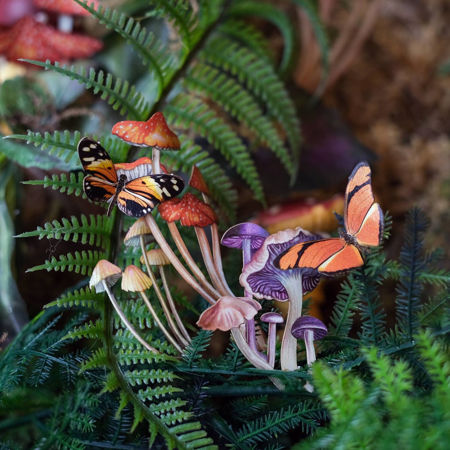 Ferns & Friends Psychedelic Mini Collection - 7 Piece Set