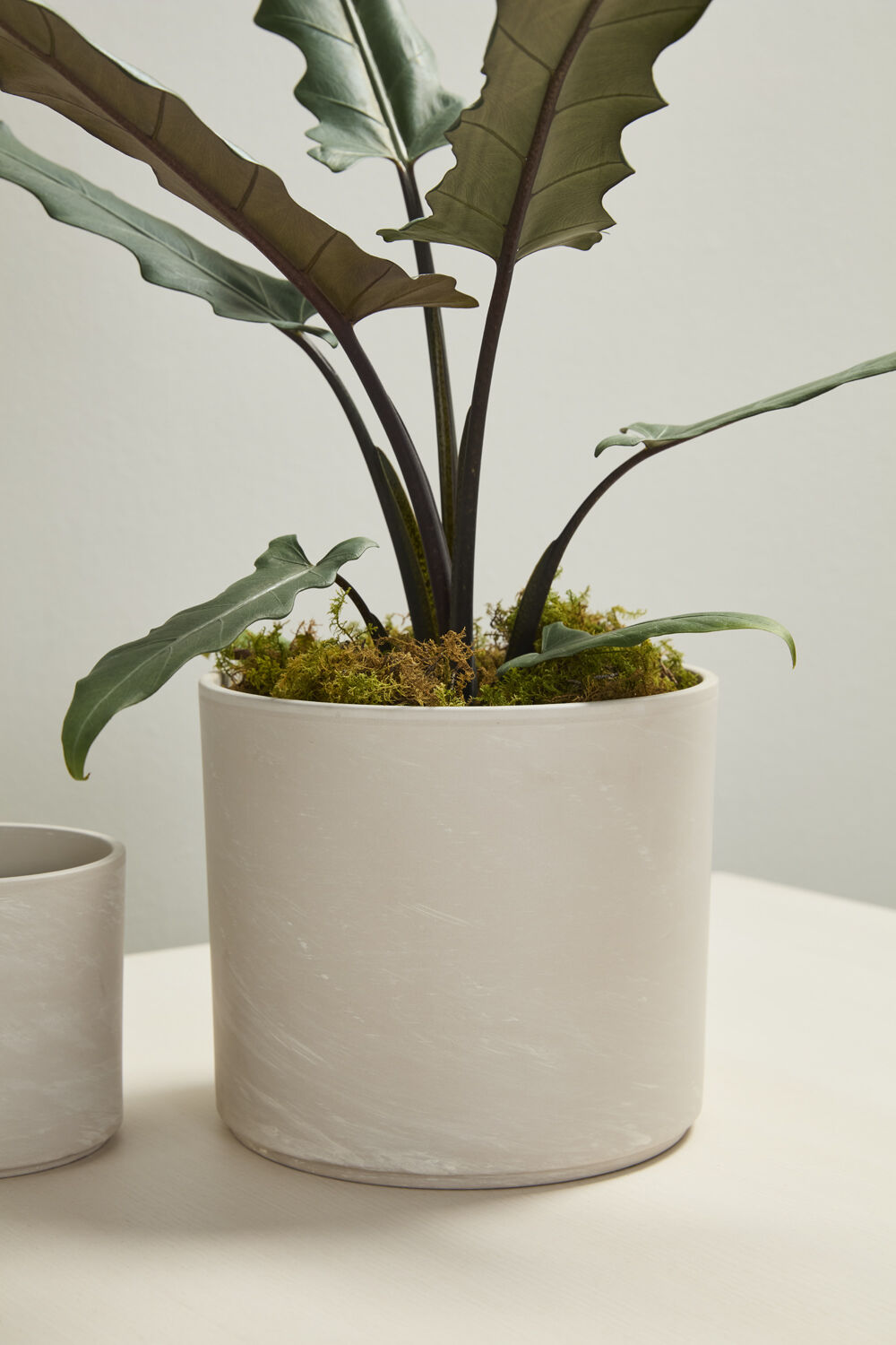 Fulton Pot