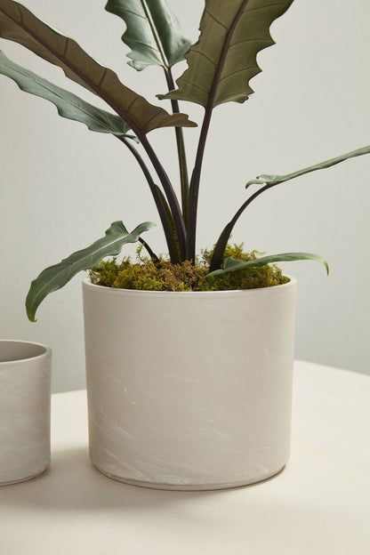 Fulton Pot