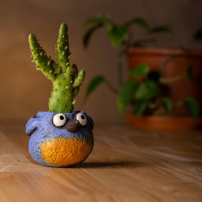 Baby Blue Winkle Bird Blobhouse® Planter