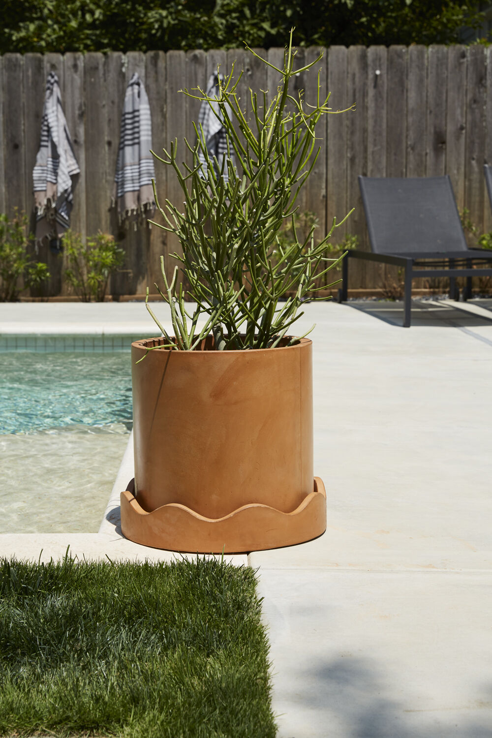 Neda Pot