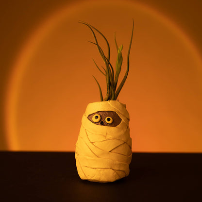 Mummy Mia the Mummy Blobhouse Planter