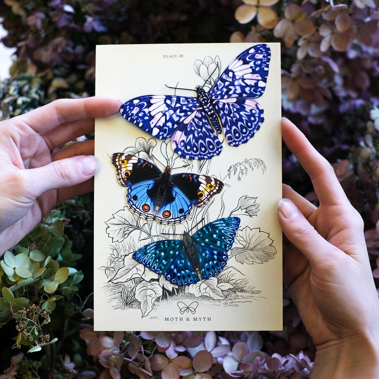 Celestial Butterfly Collection - 3 Piece Set