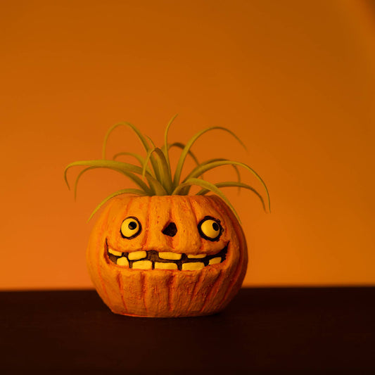 Jack the Pumpkin Blobhouse Planter