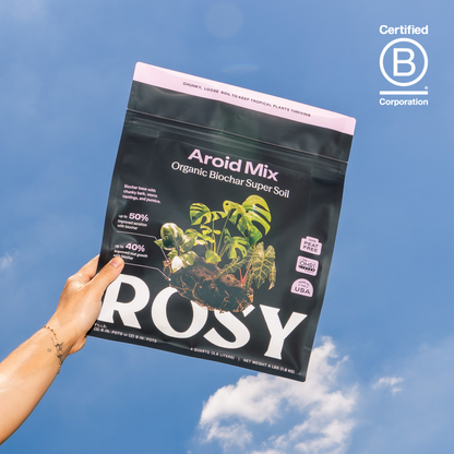 4 qt. Rosy Soil Aroid Soil Mix