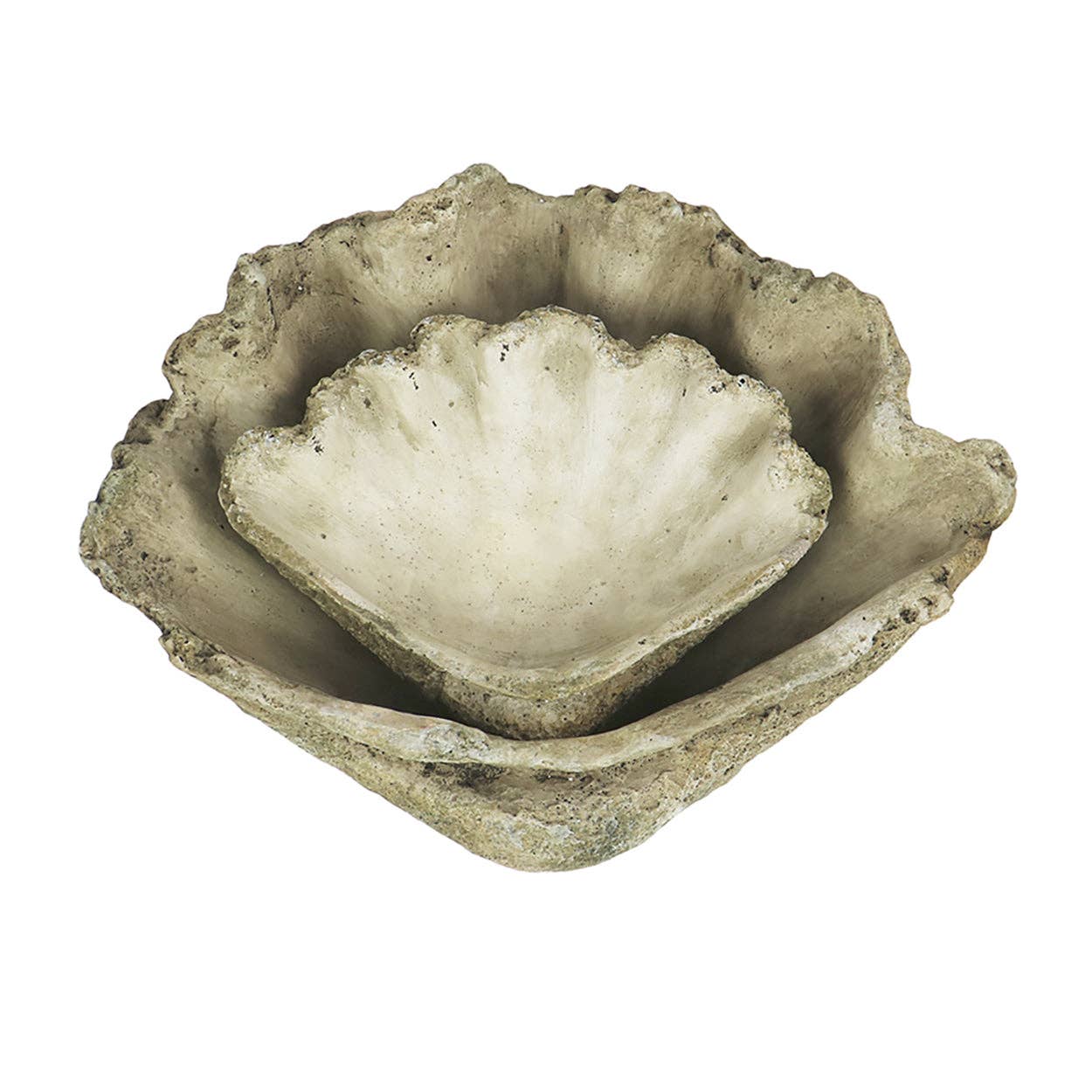 Cast Concrete Clam Shell Planter