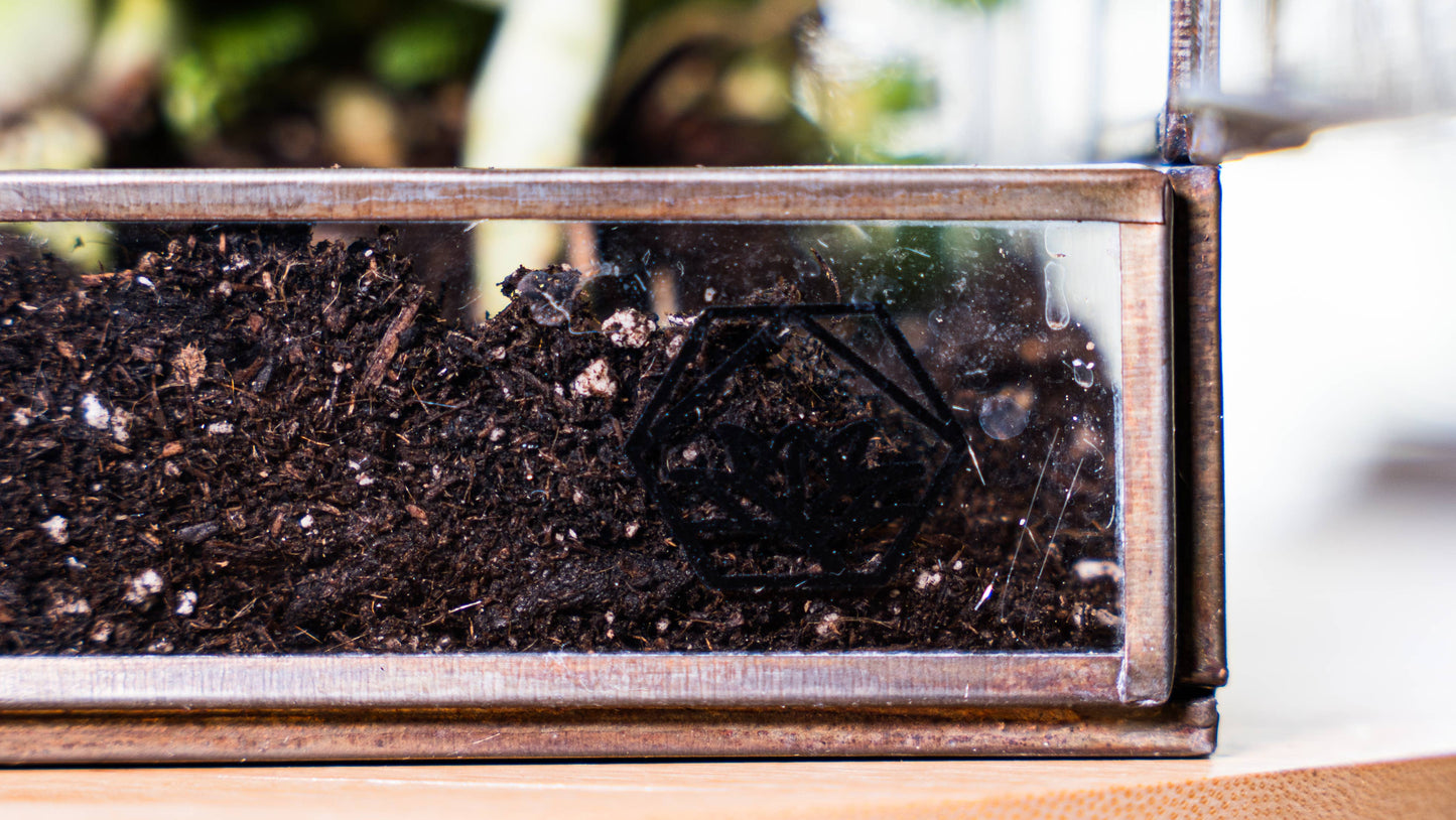 Greenhouse Glass and Metal Terrarium Bronze 10 x 7 x 10