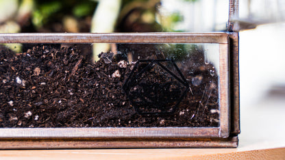 Greenhouse Glass and Metal Terrarium Bronze 10 x 7 x 10