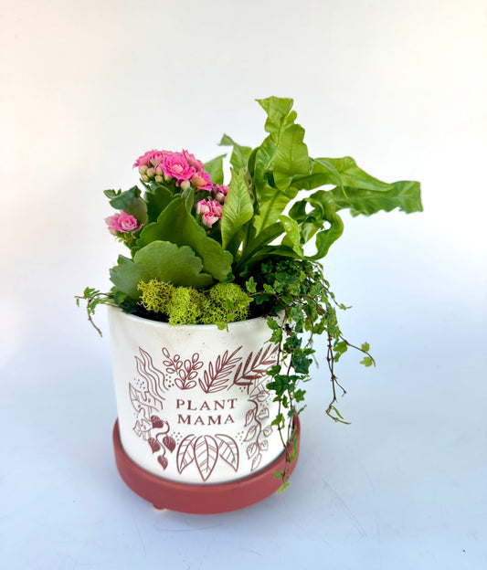 Plant Mama