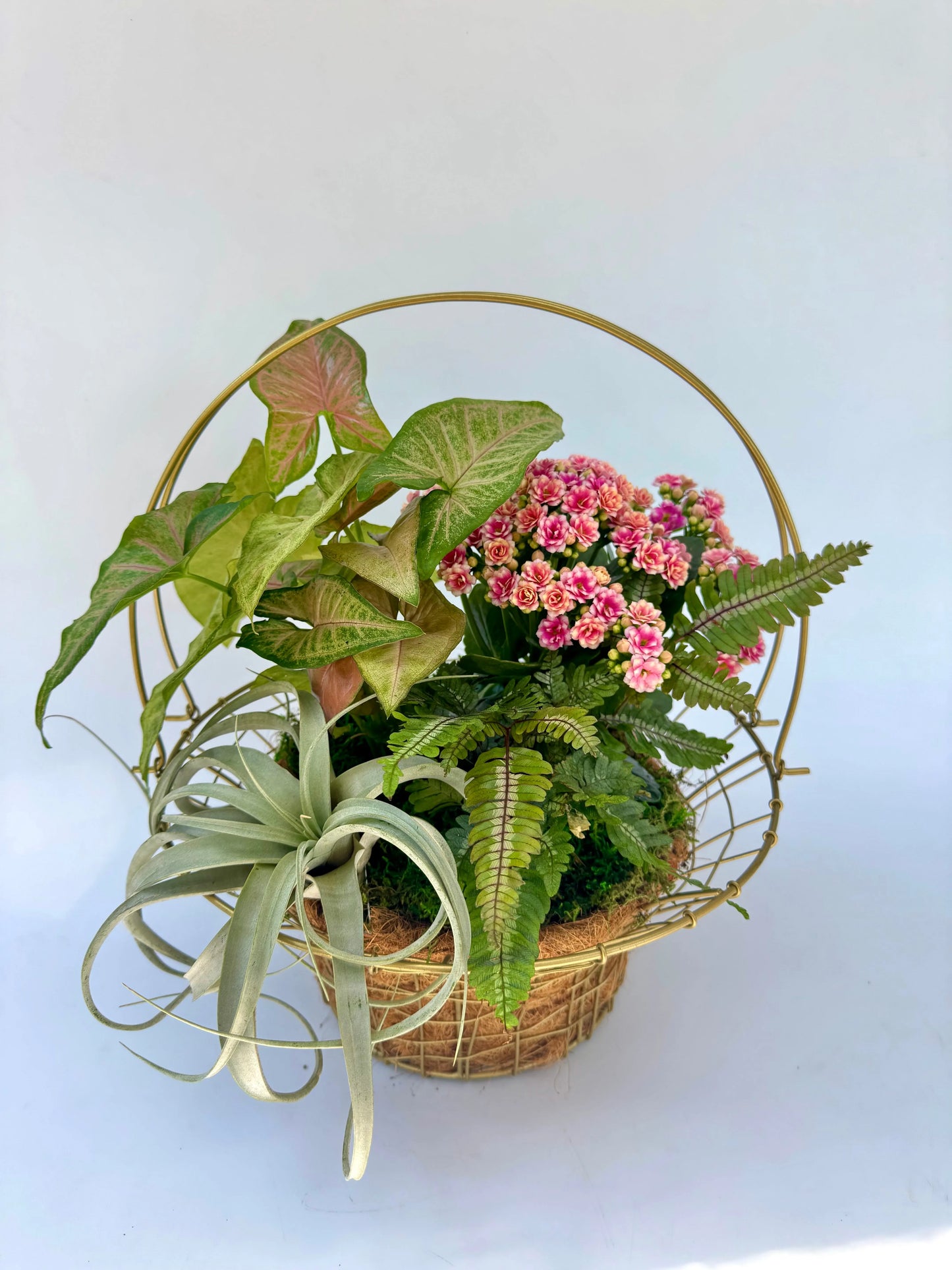 The Botanical Basket