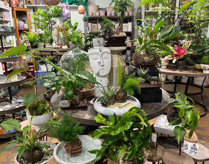 Kokedama 101 Workshop
