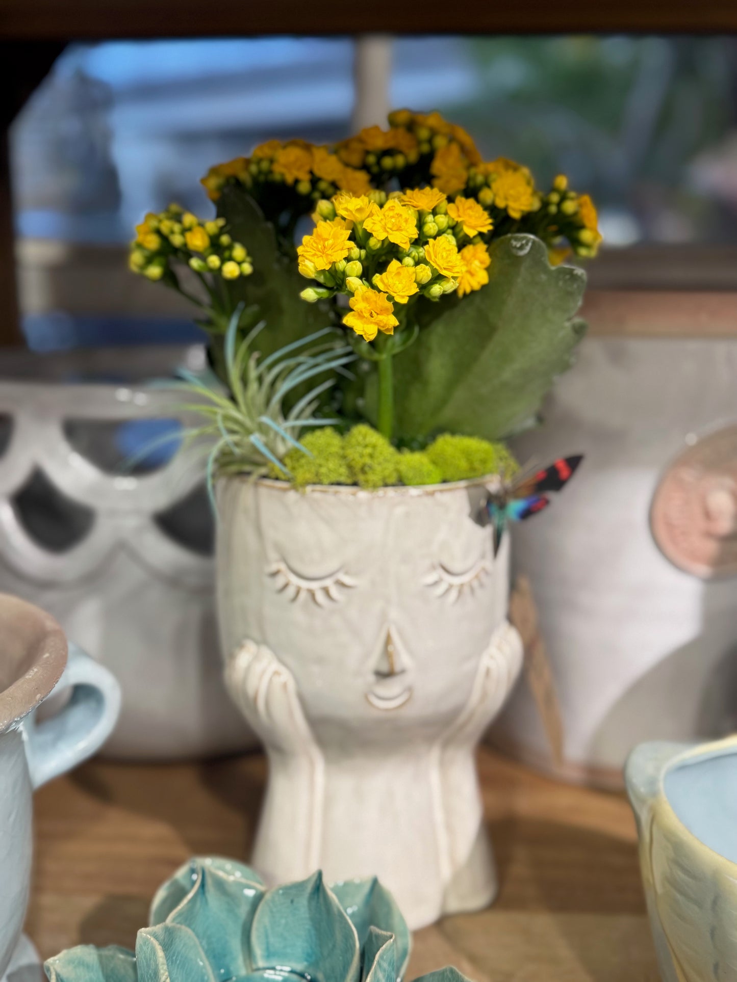 Planty Thoughts