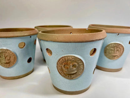 Kew Orchid Pot