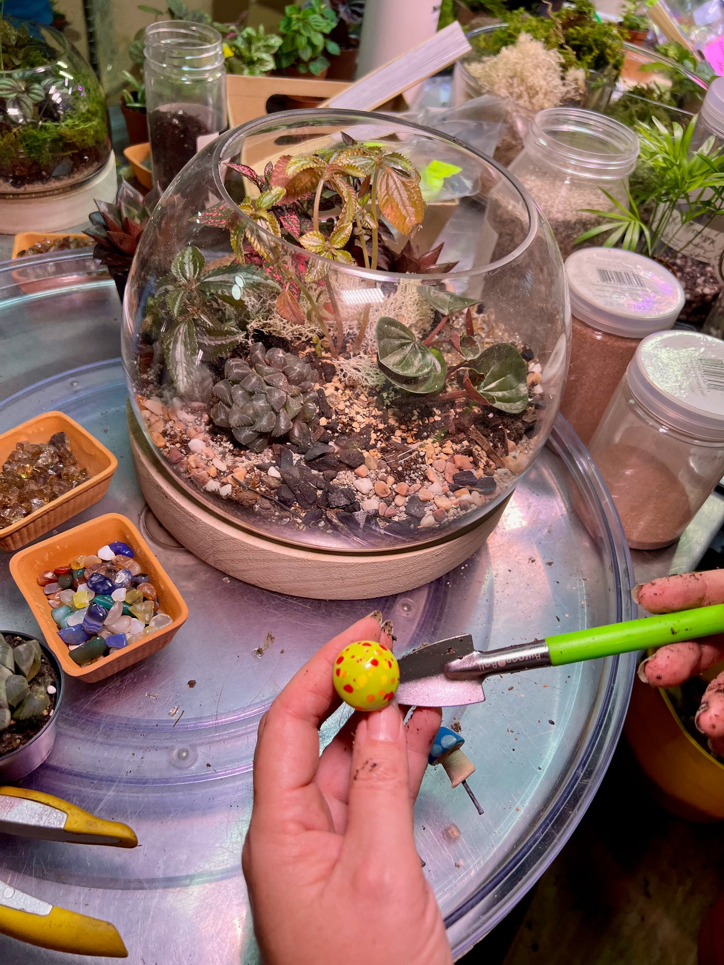 Tiny Little Worlds: Terrarium building