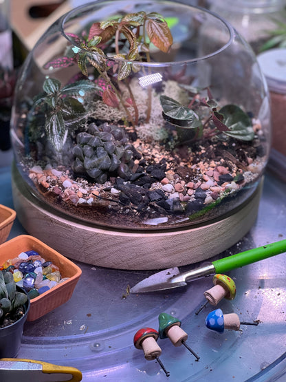 Tiny Little Worlds: Terrarium building