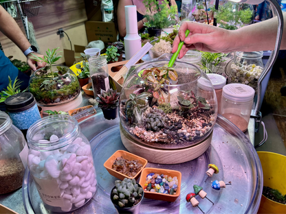 Tiny Little Worlds: Terrarium building