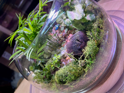 Tiny Little Worlds: Terrarium building