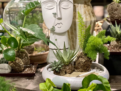 Kokedama 101 Workshop