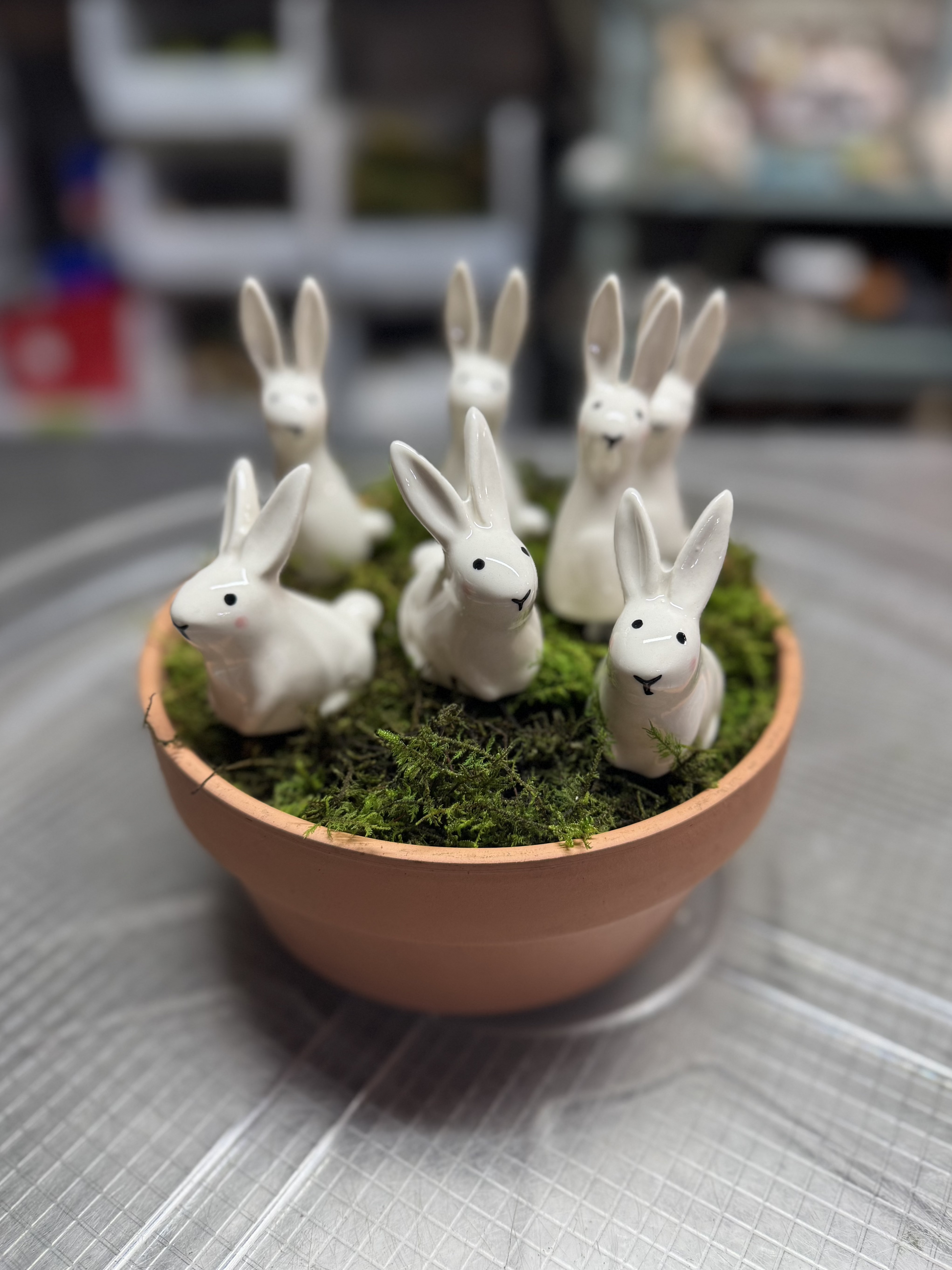 A group of the Thumper Plant sticks in a whimsy, clay terracotta pot with reindeer moss spread around. 