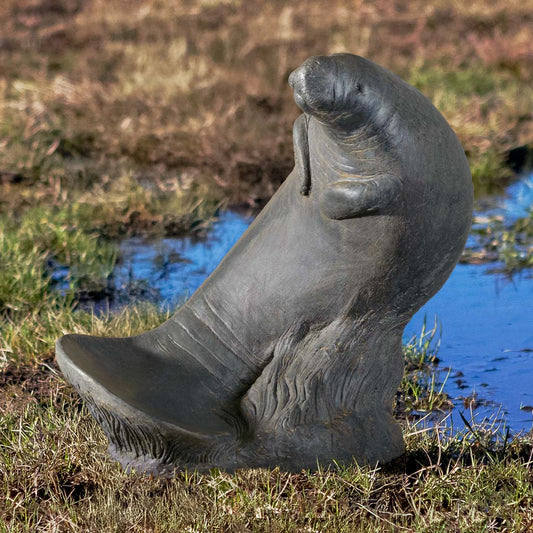 Campania Manatee