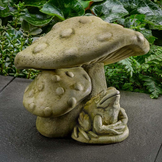 Campania Tucker Toadstool