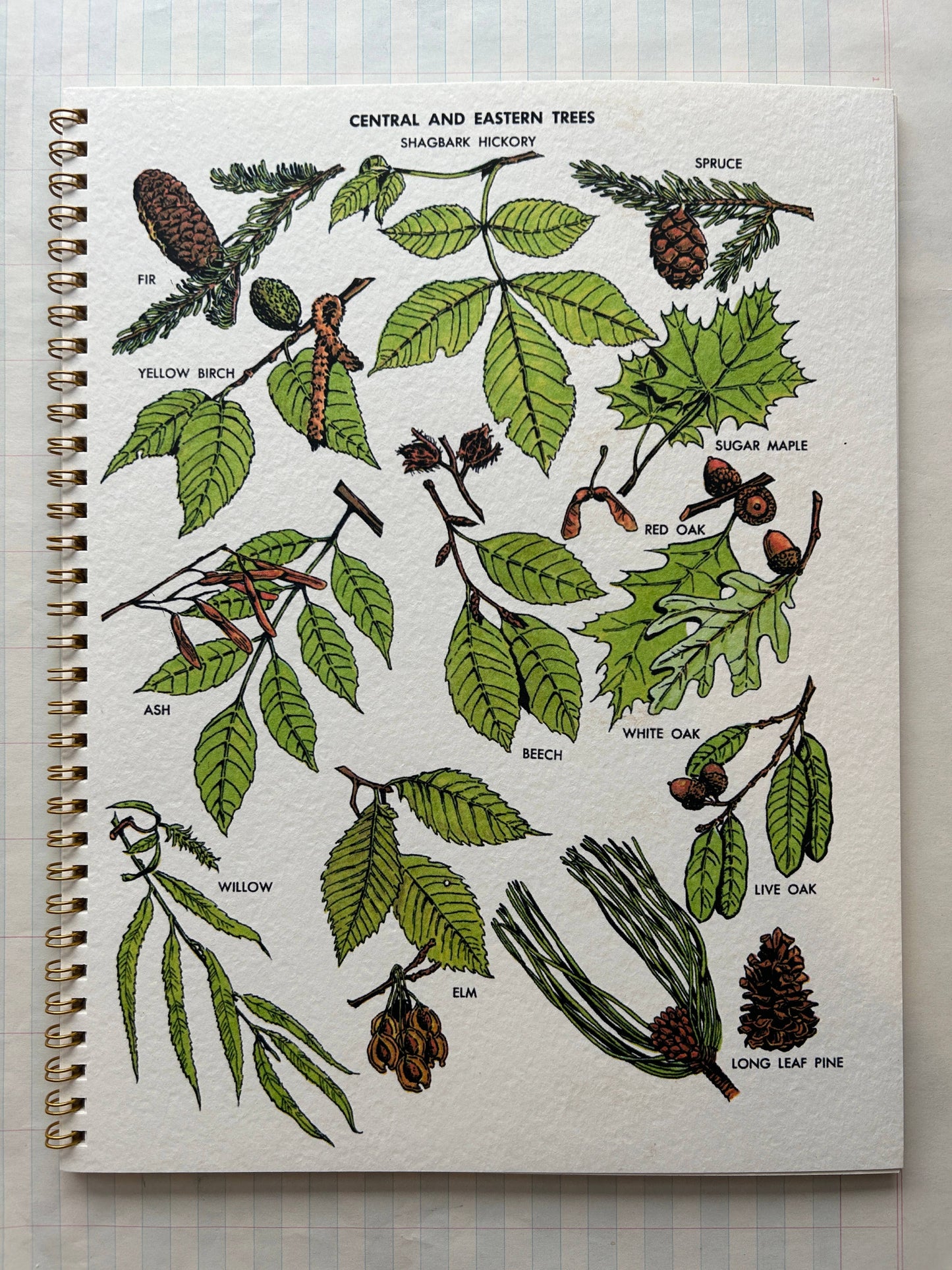 Nature Guides Notebook