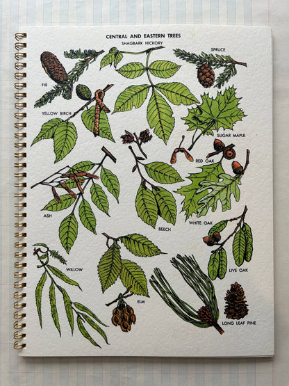 Nature Guides Notebook