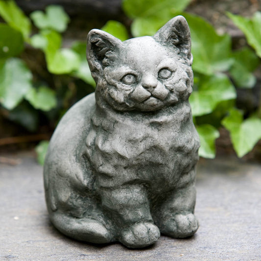 Campania Kitty
