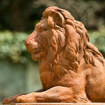 Campania Classic Lion