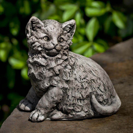 Campania Cutie Kitty