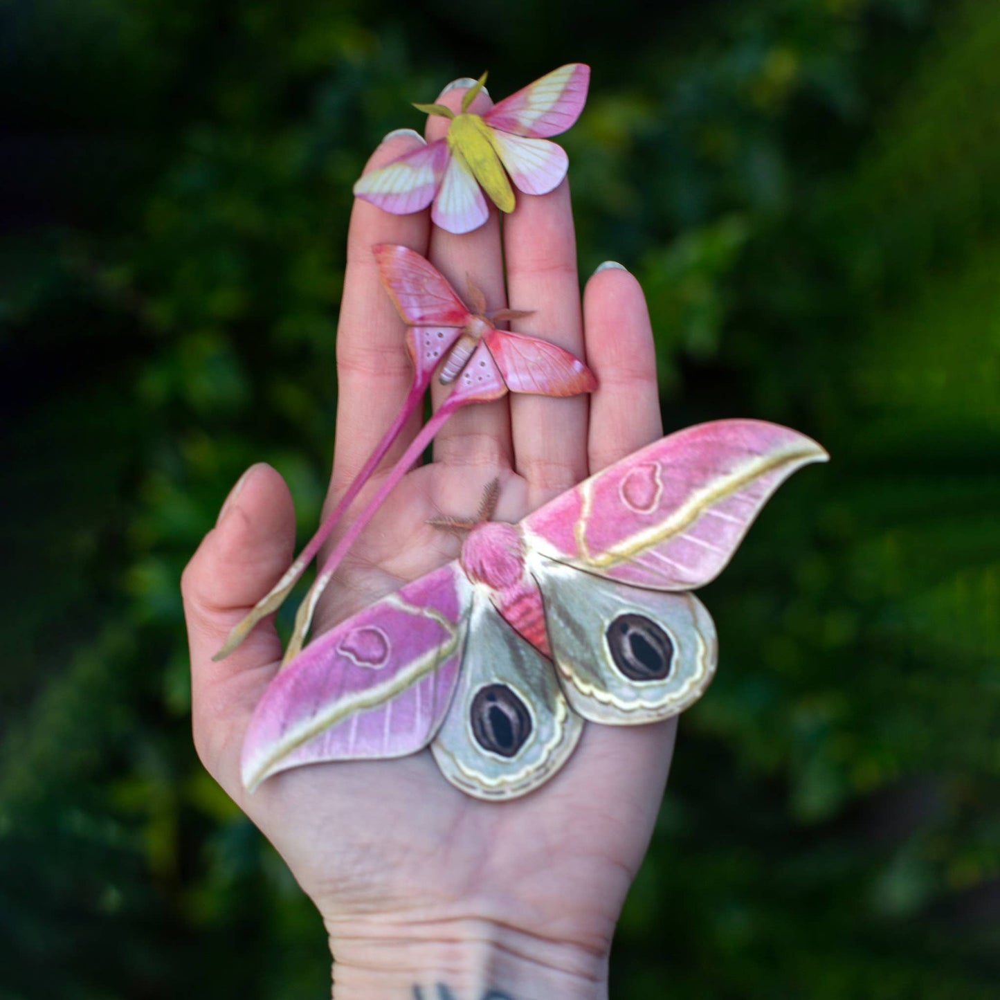 Blush Pink Moth Collection - 3 Piece Set