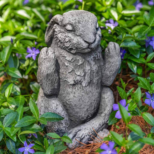 Campania Meditation Bunny