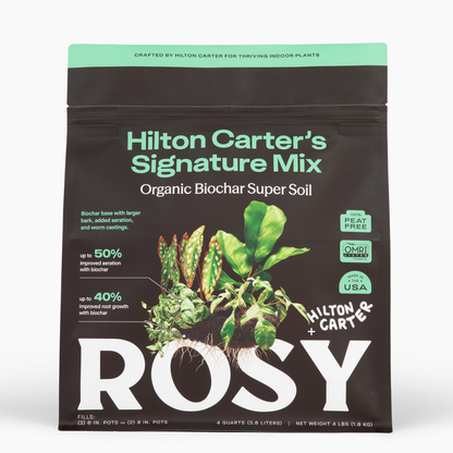 4 qt. Rosy Soil Hilton Carter's Signature Soil Mix