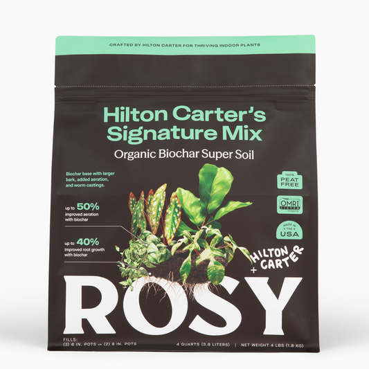 4 qt. Rosy Soil Hilton Carter's Signature Soil Mix