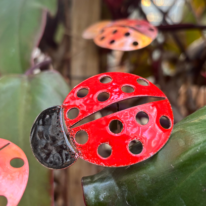 Copper Enamel Ladybug