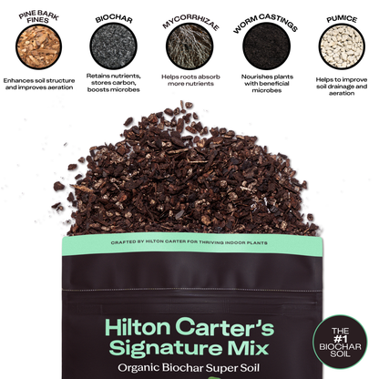 4 qt. Rosy Soil Hilton Carter's Signature Soil Mix