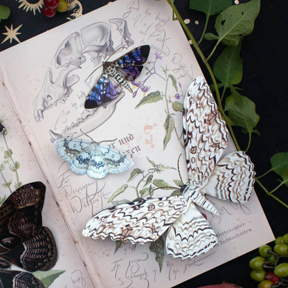 Halloween 'Witch' Paper Moth Set