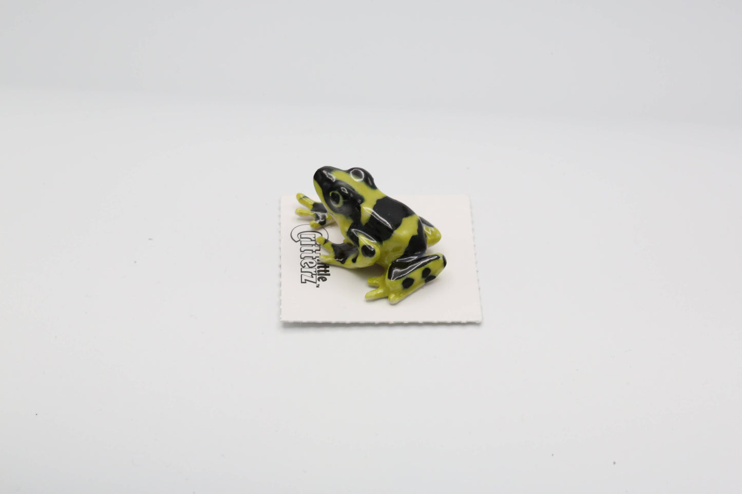 Porcelain Dart Frog Figurine