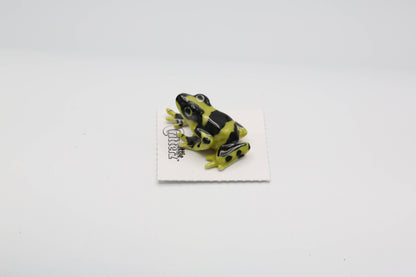 Porcelain Dart Frog Figurine