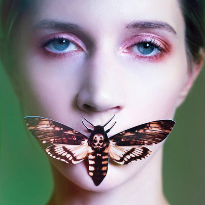 Halloween 'Owl' Moth Set