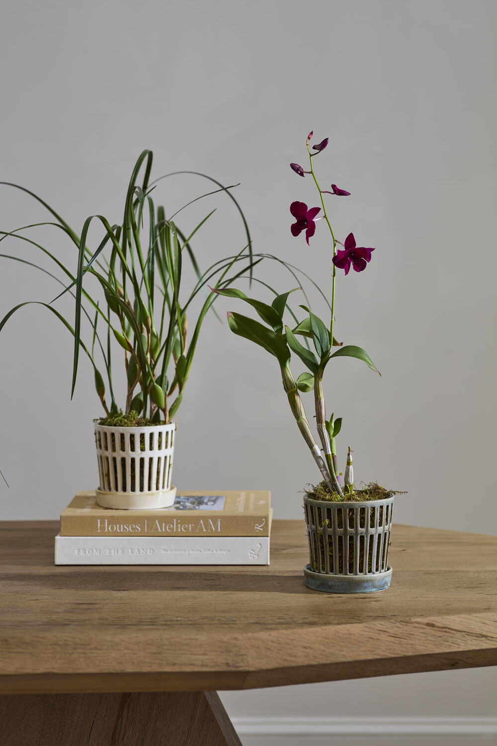 Airy Orchid Pot with Saucer