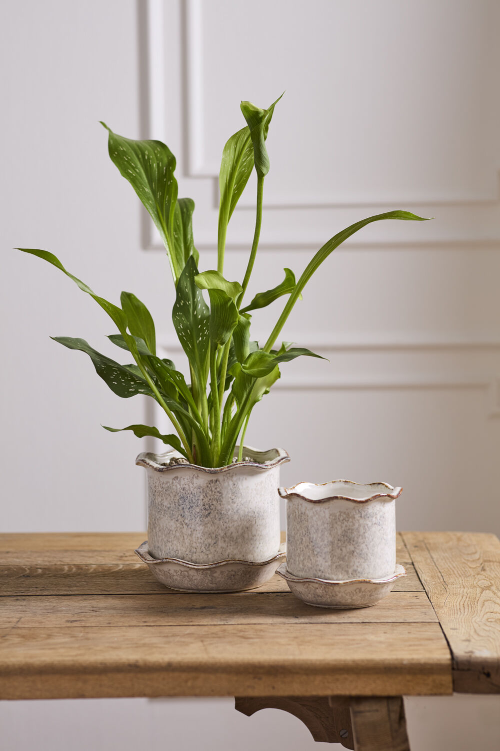 Aurina Pot with Saucer