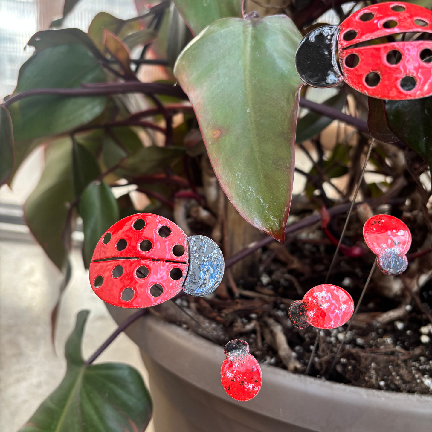 Copper Enamel Ladybug