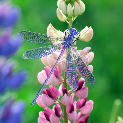 'Aerial' Dragonfly 3 Piece Set